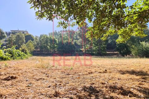 Helårsgrund i Sernancelhe, Viseu, Sernancelhe - € 15.000 | Ref: 169C/ 2024 - foto 5
