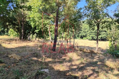 Helårsgrund i Sernancelhe, Viseu, Sernancelhe - € 15.000 | Ref: 169C/ 2024 - foto 8