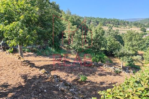 Helårsgrund i Sernancelhe, Viseu, Sernancelhe - € 15.000 | Ref: 169C/ 2024 - foto 9