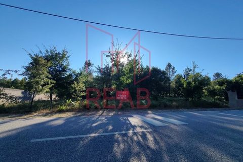 Tomt i Aguiar da Beira, Guarda, Aguiar da Beira - € 45 000 | Ref: 179/ 2024 - foto 3