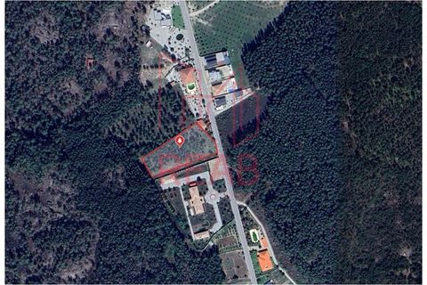 Tomt i Aguiar da Beira, Guarda, Aguiar da Beira - € 45 000 | Ref: 179/ 2024 - foto 8