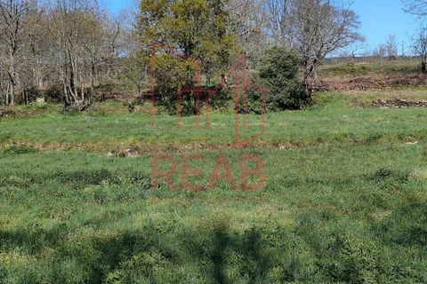 Tomt i Aguiar da Beira, Guarda, Aguiar da Beira - € 45 000 | Ref: 215/ 2025 - foto 4