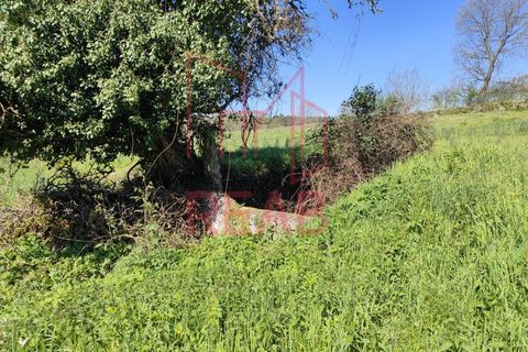 Tomt i Aguiar da Beira, Guarda, Aguiar da Beira - € 45 000 | Ref: 215/ 2025 - foto 6