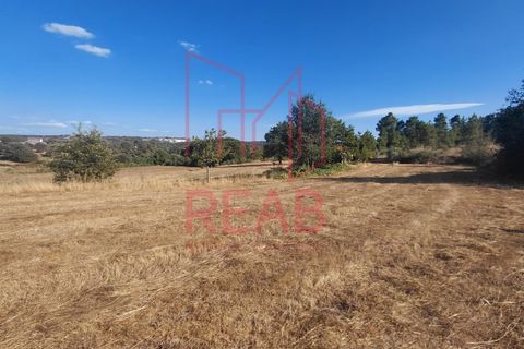Terra a Quintela, Viseu, Quintela - € 60.000 | Ref: 236B/ 2025 - foto 2