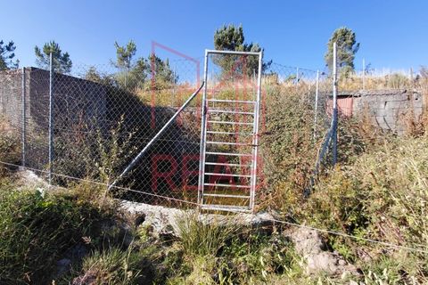 Terra a Quintela, Viseu, Quintela - € 60.000 | Ref: 236B/ 2025 - foto 7