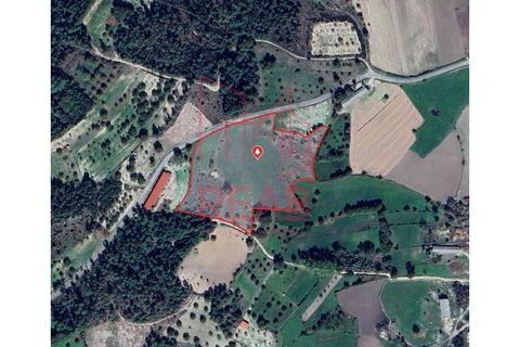 Terra a Quintela, Viseu, Quintela - € 60.000 | Ref: 236B/ 2025 - foto 8