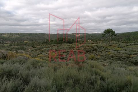Grond in Eirado, Guarda, Eirado - € 60.000 | Ref: 51/2020 - foto 1