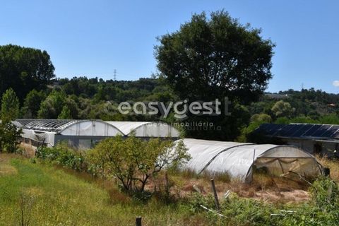 Helårsgrund i Viseu, Viseu, Viseu - € 60.000 | Ref: VS95756 - foto 1