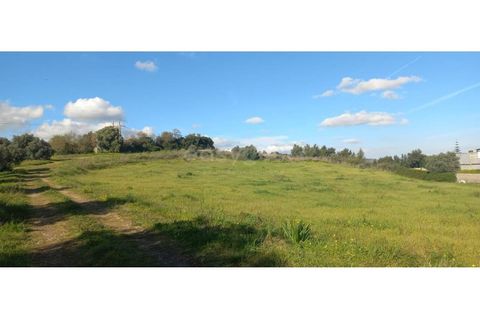 Terra a Alverca do Ribatejo, Lisbon, Alverca do Ribatejo - € 2.000/mes | Ref: ST96891EP - foto 4