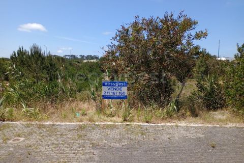 Helårsgrund i Pataias, Leiria, Pataias - € 65.000 | Ref: LE97317NZ - foto 5