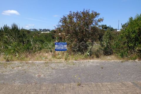 Helårsgrund i Pataias, Leiria, Pataias - € 65.000 | Ref: LE97317NZ - foto 6