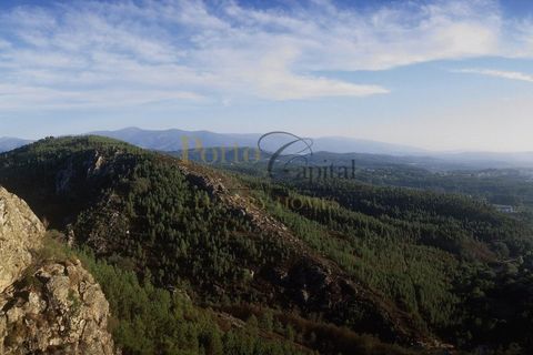 Wohnung in Santo Andre, Setubal, Santo Andre - € 295.000 | Ref: PC_12619_I - Foto 9