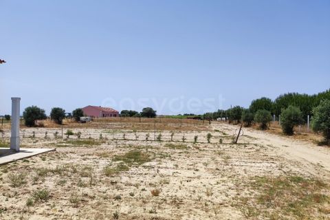 Villa i Palmela, Setubal, Palmela - € 310.000 | Ref: ST97456AC - foto 6
