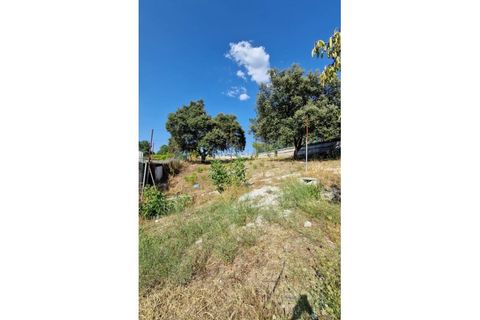 Helårsgrund i Celorico da Beira, Guarda, Celorico da Beira - € 51.000 | Ref: GD97747FM - foto 3