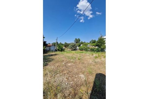 Helårsgrund i Celorico da Beira, Guarda, Celorico da Beira - € 51.000 | Ref: GD97747FM - foto 5
