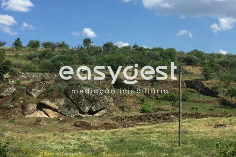 Terreno en Vila Flor, Braganca, Vila Flor - € 22.500 | Ref: BG73816TM - photo 2