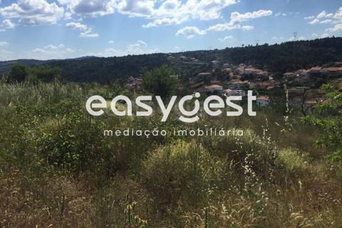 Terreno en Vila Flor, Braganca, Vila Flor - € 22.500 | Ref: BG73816TM - photo 5