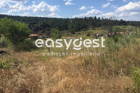 Terreno en Vila Flor, Braganca, Vila Flor - € 22.500 | Ref: BG73816TM - photo 6