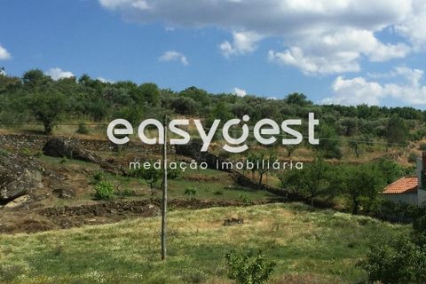 Terreno en Vila Flor, Braganca, Vila Flor - € 22.500 | Ref: BG73816TM - photo 7