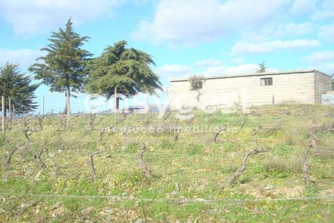 Terra a Castelo Melhor, Guarda, Castelo Melhor - € 1.700.000 | Ref: BG73322TM - foto 2