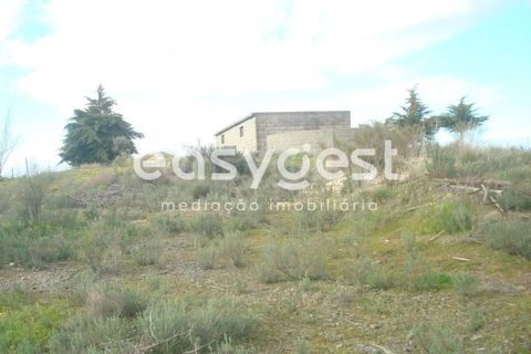 Terra a Castelo Melhor, Guarda, Castelo Melhor - € 1.700.000 | Ref: BG73322TM - foto 6