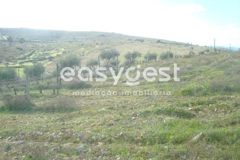 Terra a Castelo Melhor, Guarda, Castelo Melhor - € 1.700.000 | Ref: BG73322TM - foto 7