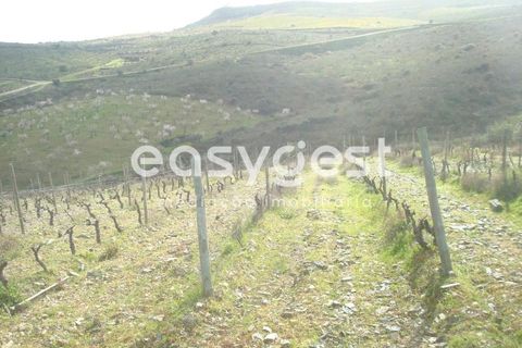 Terra a Castelo Melhor, Guarda, Castelo Melhor - € 1.700.000 | Ref: BG73322TM - foto 8