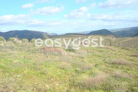 Terra a Castelo Melhor, Guarda, Castelo Melhor - € 1.700.000 | Ref: BG73322TM - foto 12