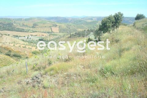 Helårsgrund i Longroiva, Guarda, Longroiva - € 23.000 | Ref: BG73269TM - foto 2
