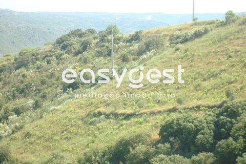 Helårsgrund i Longroiva, Guarda, Longroiva - € 23.000 | Ref: BG73269TM - foto 3