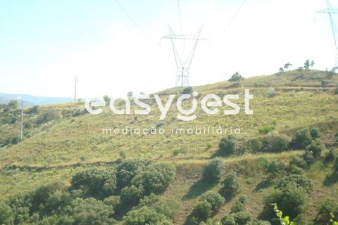 Helårsgrund i Longroiva, Guarda, Longroiva - € 23.000 | Ref: BG73269TM - foto 7