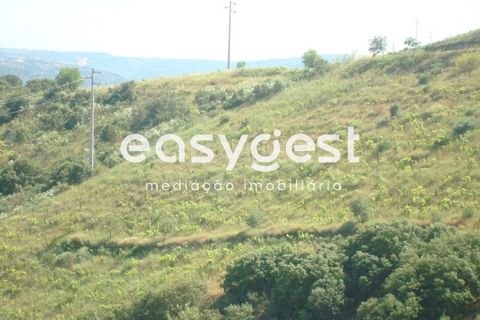 Helårsgrund i Longroiva, Guarda, Longroiva - € 23.000 | Ref: BG73269TM - foto 8
