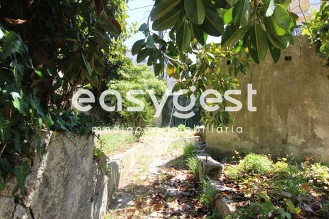 Villa i Sintra, Lisbon, Sintra - € 1.250.000 | Ref: ST74489EC - foto 6