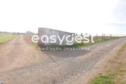 Grond in Cuba, Beja, Cuba - € 357.700 | Ref: BJ69910 - foto 1