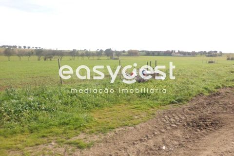 Grond in Cuba, Beja, Cuba - € 357.700 | Ref: BJ69910 - foto 3