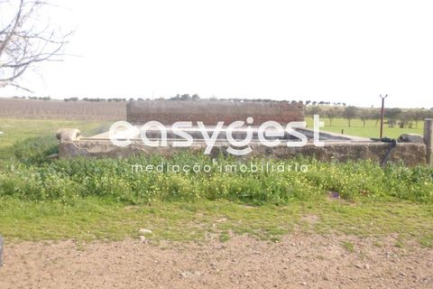 Grond in Cuba, Beja, Cuba - € 357.700 | Ref: BJ69910 - foto 5