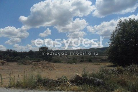 Terreno en Peraboa, Castelo Branco, Peraboa - € 34.000 | Ref: CB63328MA - photo 2