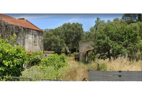 Helårsgrund i Sintra, Lisbon, Sintra - € 2.000.000 | Ref: SÒL_268 - foto 4