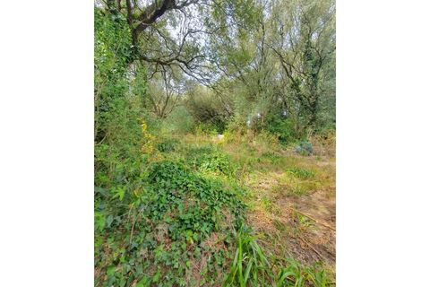 Helårsgrund i Sintra, Lisbon, Sintra - € 2.000.000 | Ref: SÒL_268 - foto 7