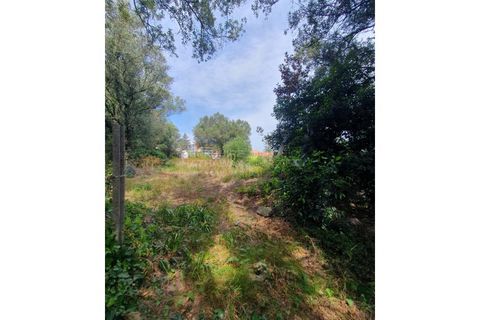 Helårsgrund i Sintra, Lisbon, Sintra - € 2.000.000 | Ref: SÒL_268 - foto 8