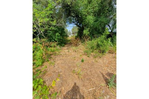 Helårsgrund i Sintra, Lisbon, Sintra - € 2.000.000 | Ref: SÒL_268 - foto 9