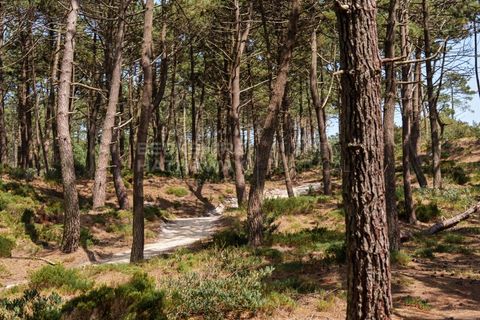 Rækkehus i Vau, Leiria, Vau - € 900.000 | Ref: SS_0106 - foto 34