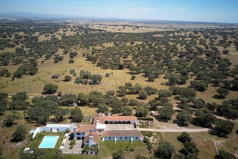 Landejendom i Monforte, Portalegre, Monforte - € 3.200.000 | Ref: EXP_1390 - foto 4