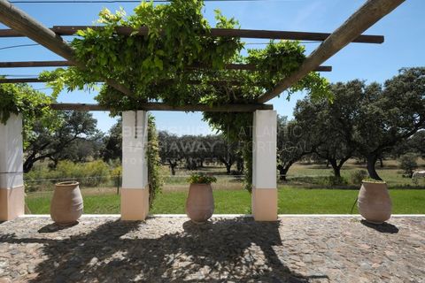Landejendom i Monforte, Portalegre, Monforte - € 3.200.000 | Ref: EXP_1390 - foto 37