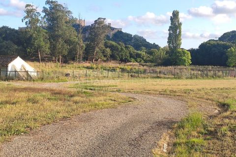 Farm i Obidos, Leiria, Obidos - € 4.500.000 | Ref: MAS_1023 - foto 3