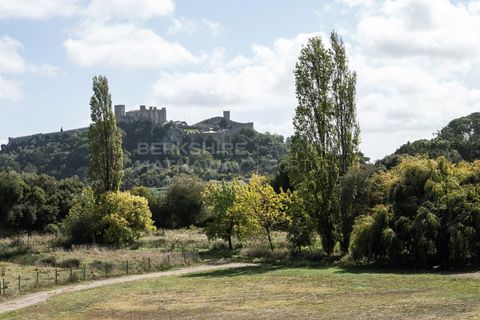 Farm i Obidos, Leiria, Obidos - € 4.500.000 | Ref: MAS_1023 - foto 10