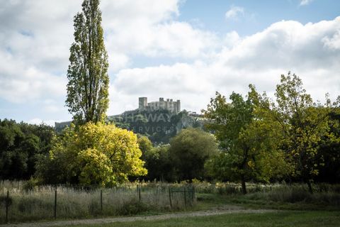 Farm i Obidos, Leiria, Obidos - € 4.500.000 | Ref: MAS_1023 - foto 17