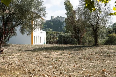 Farm i Obidos, Leiria, Obidos - € 4.500.000 | Ref: MAS_1023 - foto 19