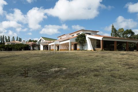 Farm i Obidos, Leiria, Obidos - € 4.500.000 | Ref: MAS_1023 - foto 25