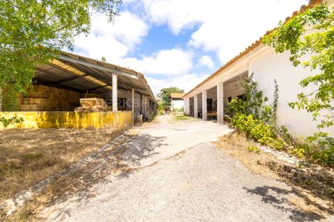 Farm i Obidos, Leiria, Obidos - € 4.500.000 | Ref: MAS_1023 - foto 36